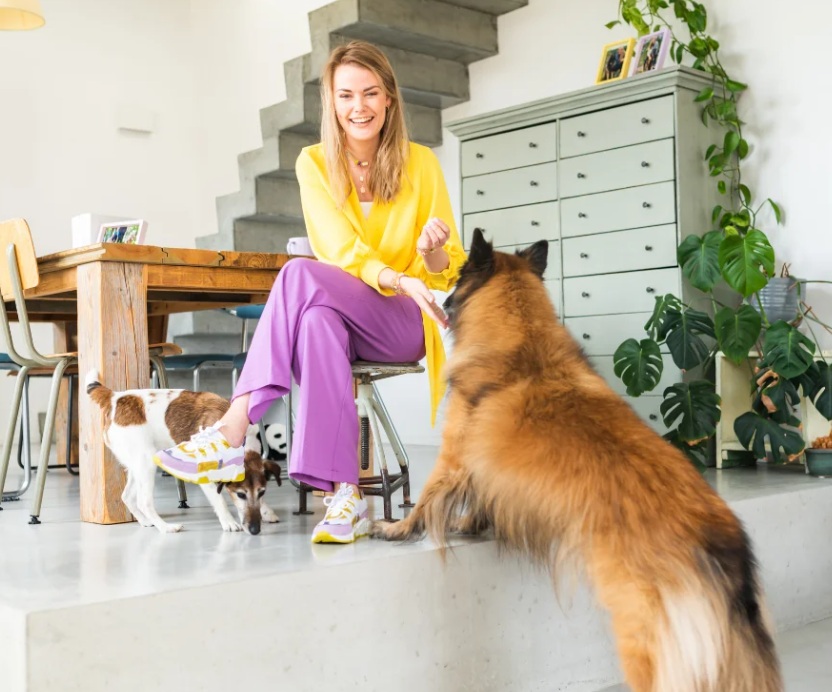 Gedragsbegeleider : de hondenfluisteraar