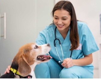 Gedragsbegeleider : Gedragstherapeut