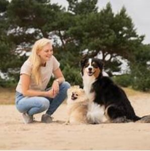 Gedragsbegeleiding oefenen met de hond